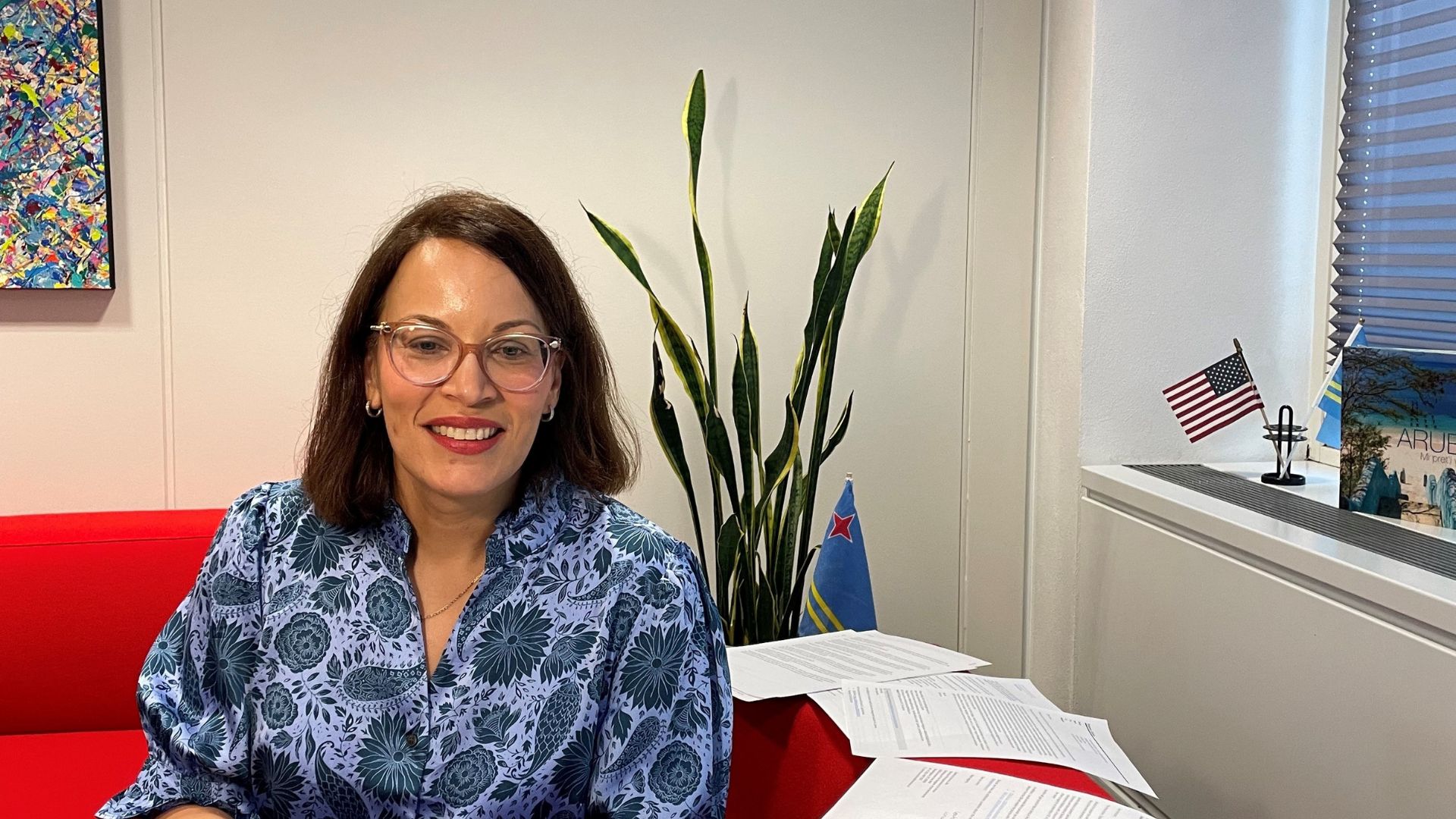 Minister Plenipotentiary in the US to host virtual internship session for students in the Netherlands and Aruba