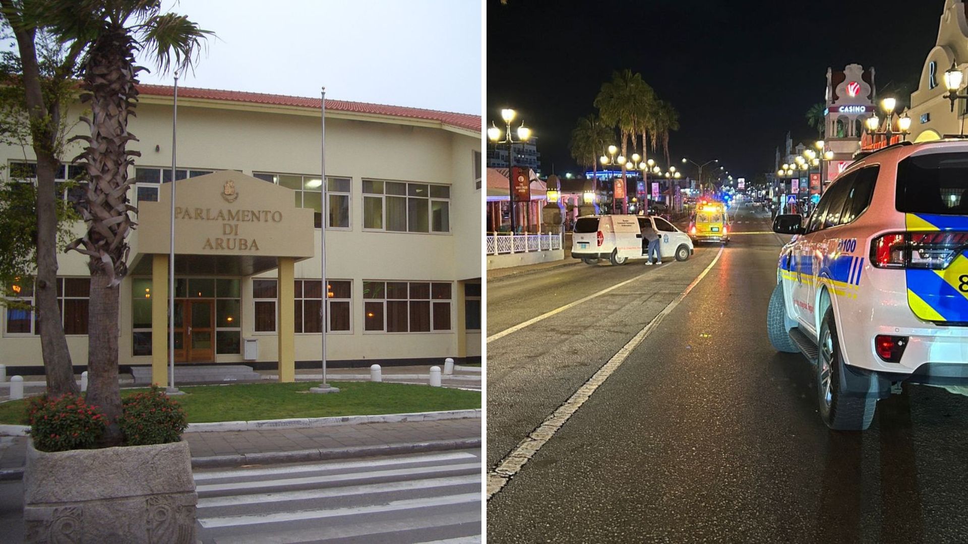 Parliament holds first public debate of the year on traffic safety