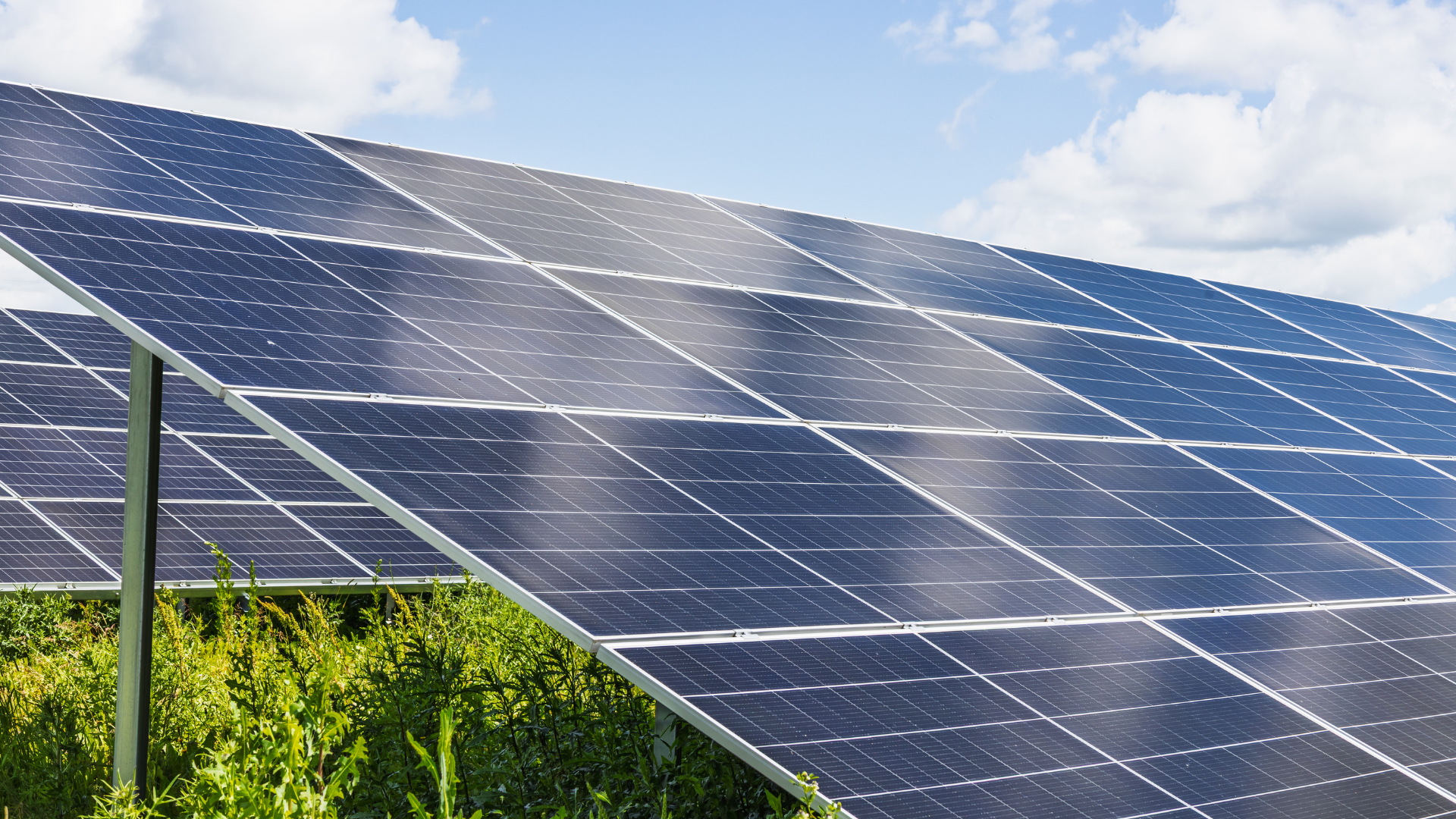 International Day of Clean Energy 2026: A commitment to people and the planet