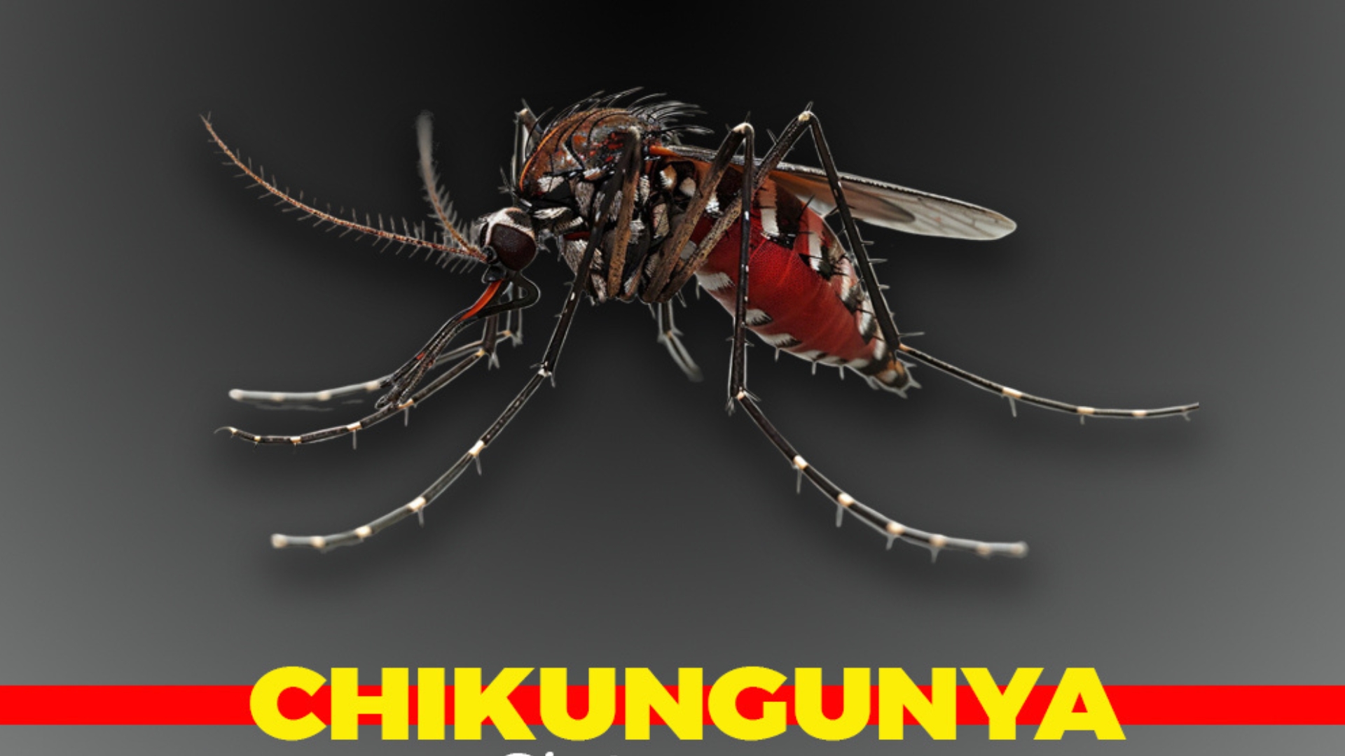 DVG warns travelers about Chikungunya risk in Suriname