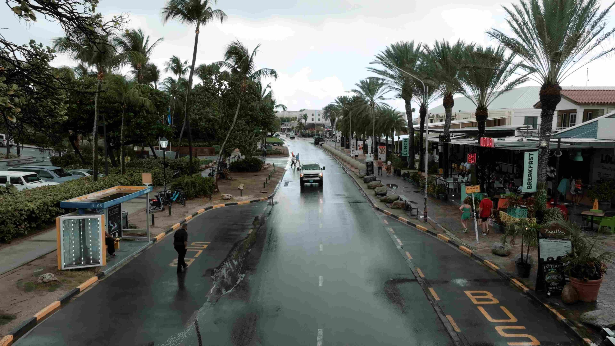 Tourists and locals call for urgent safety improvements on Palm Beach road