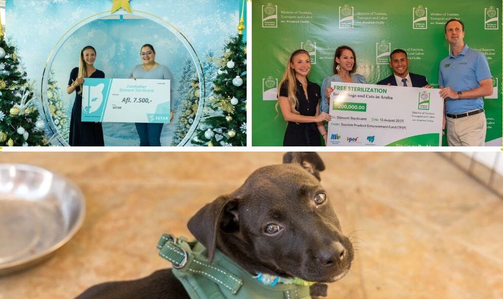 Stimami Sterilisami continues offering free sterilizations in 2026