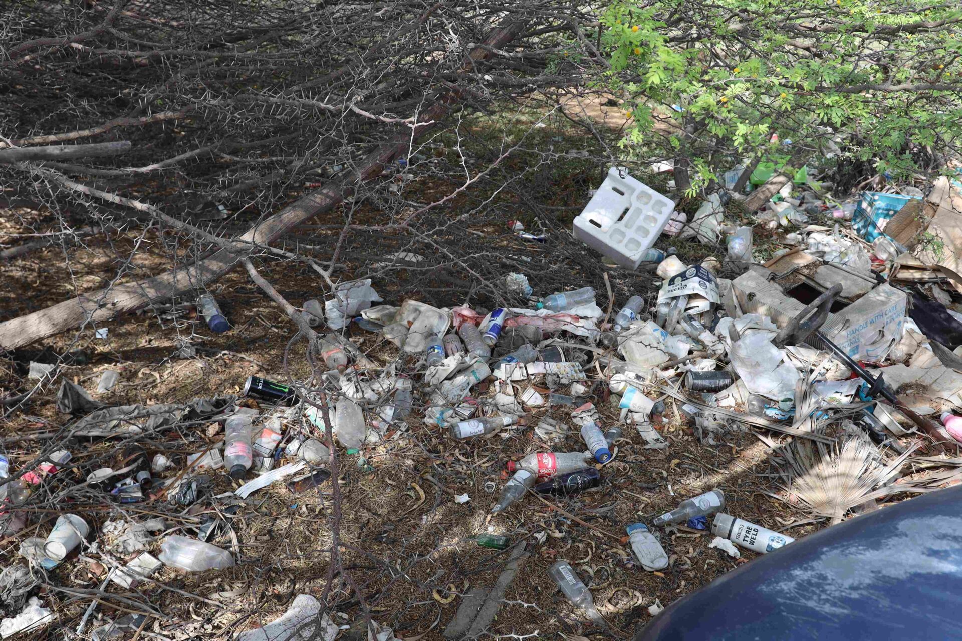 Aruba calls for action to keep popular areas clean